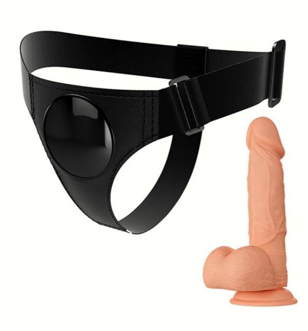 JERRY HARNESS BRIEFS